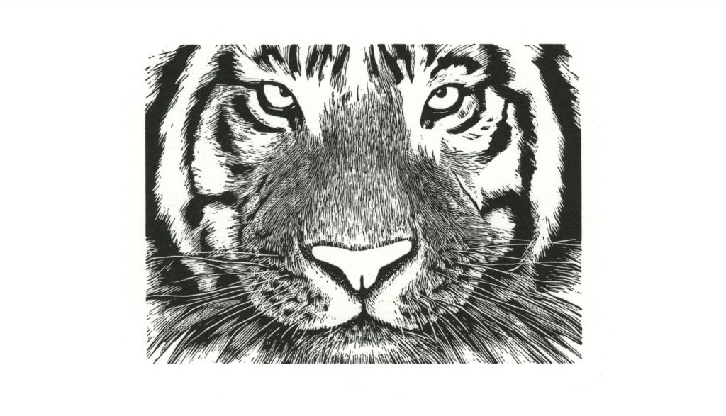 Tiger wood engraving by Leslie Evans
