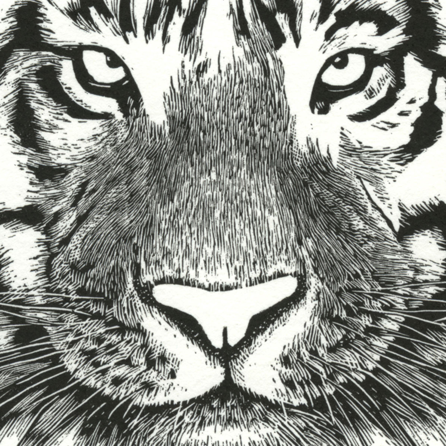 tiger wood engraving by Leslie Evans