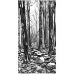 Woods art by Leslie Evans Illustration
